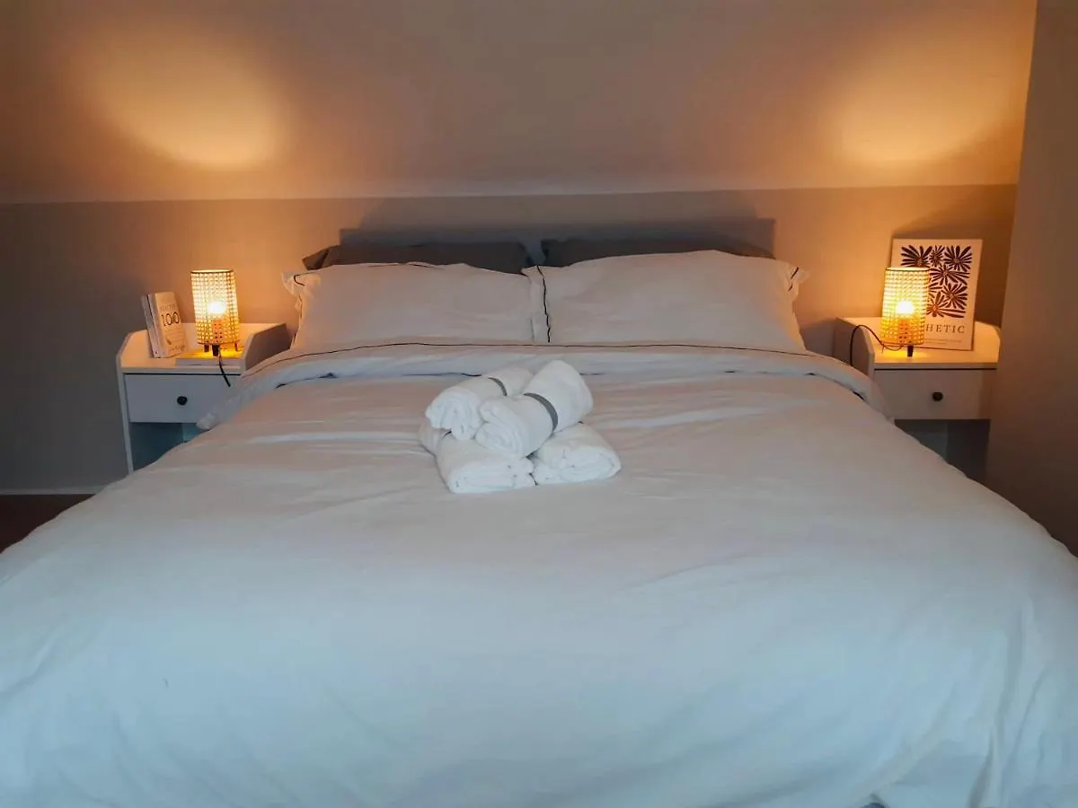Homestay J&S Downtown Sky Attic House Apartment Belfast